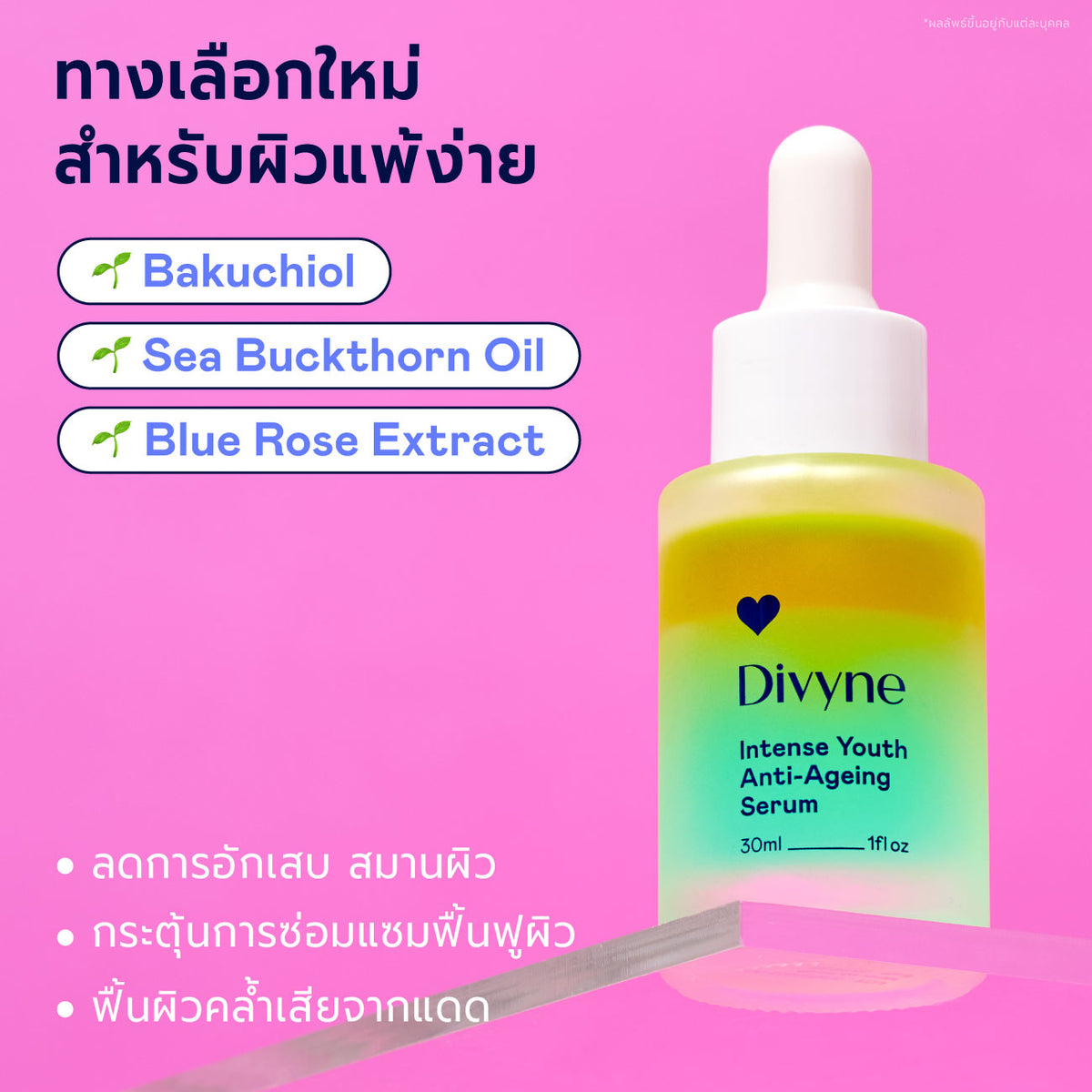 Timeless Bright Duo